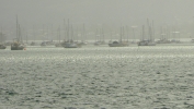 PICTURES/Morro Bay - Otters & Surf/t_Boats at Anchor.JPG